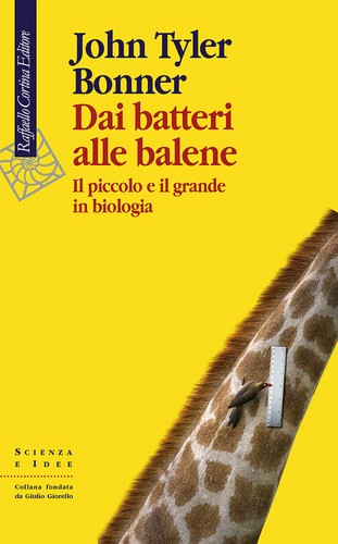 Dai batteri alle balene il - alle,